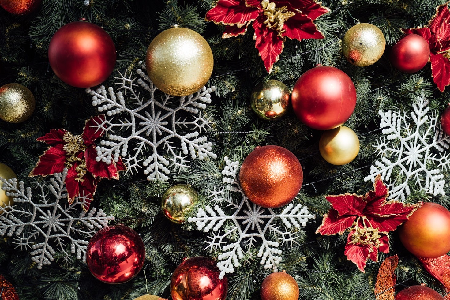 Delicious Holiday Recipes That Everyone Will Love